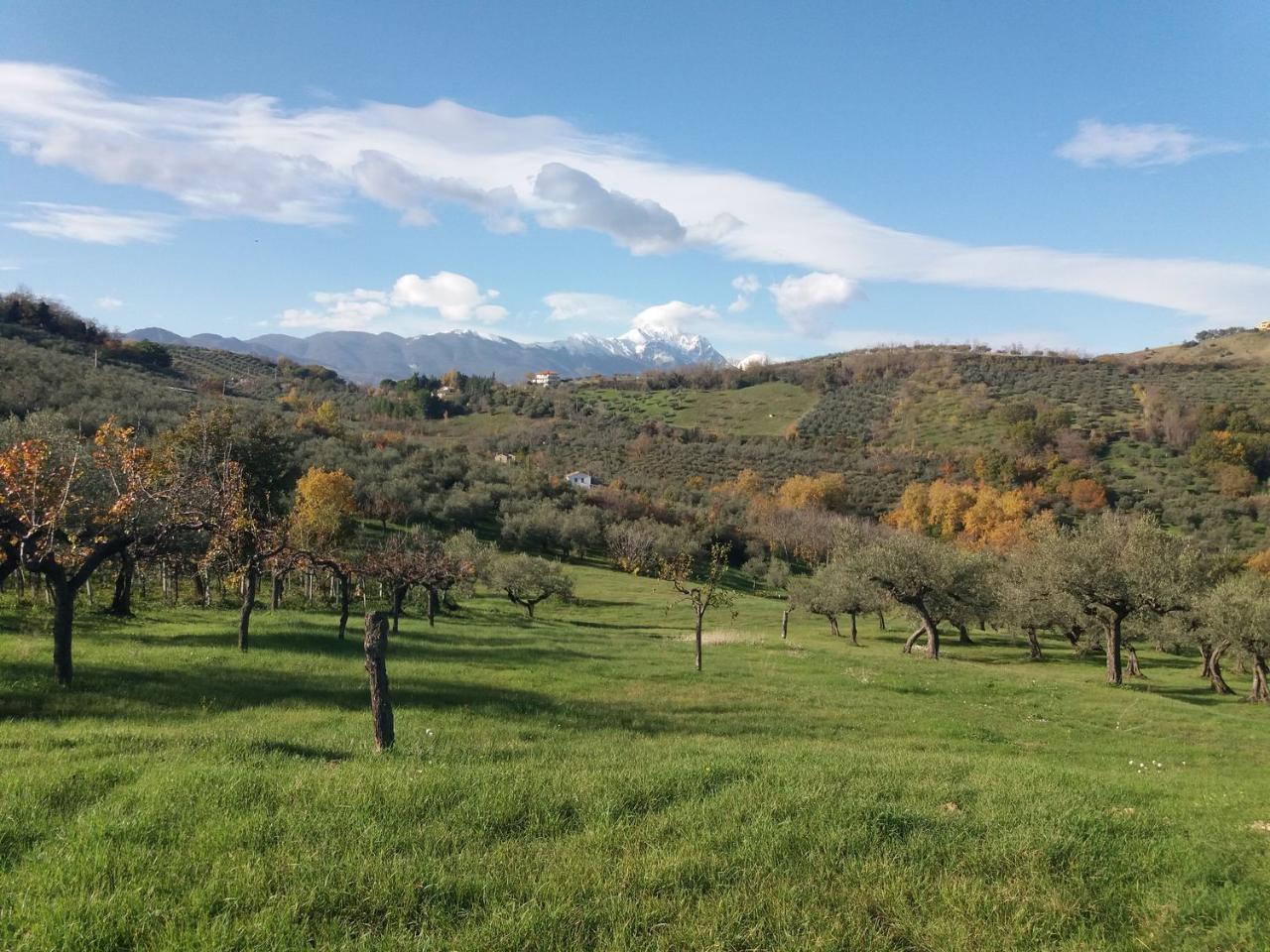 Terreno agricolo in vendita a Loreto Aprutino