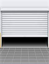 insertion image