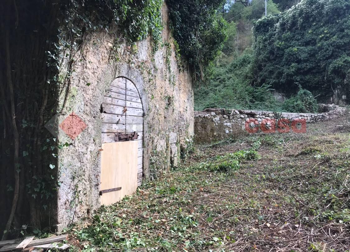 immagine annuncio 9 di 11