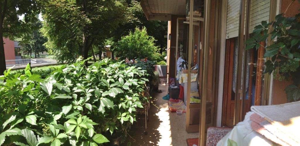 immagine annuncio 10 di 13