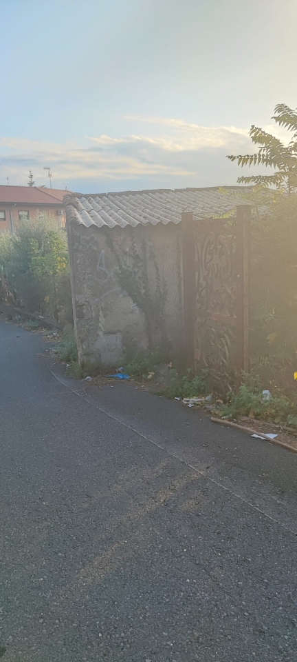 immagine annuncio 5 di 9