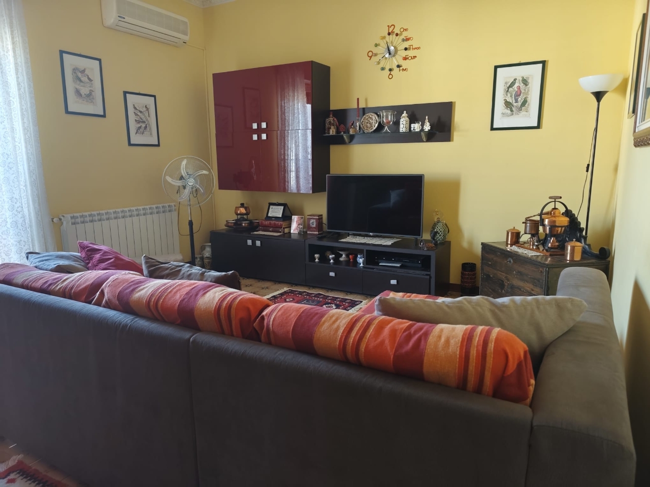 immagine annuncio 10 di 14