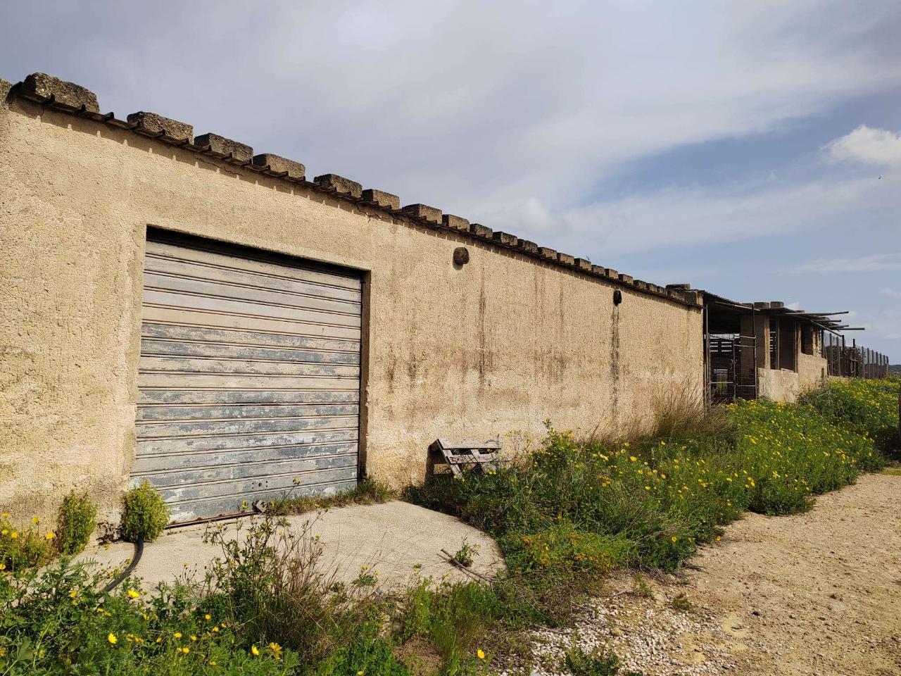 immagine annuncio 4 di 7
