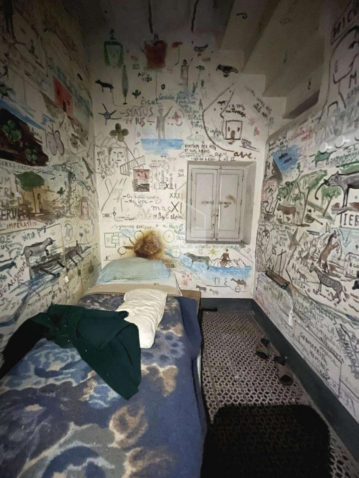 immagine annuncio 6 di 14