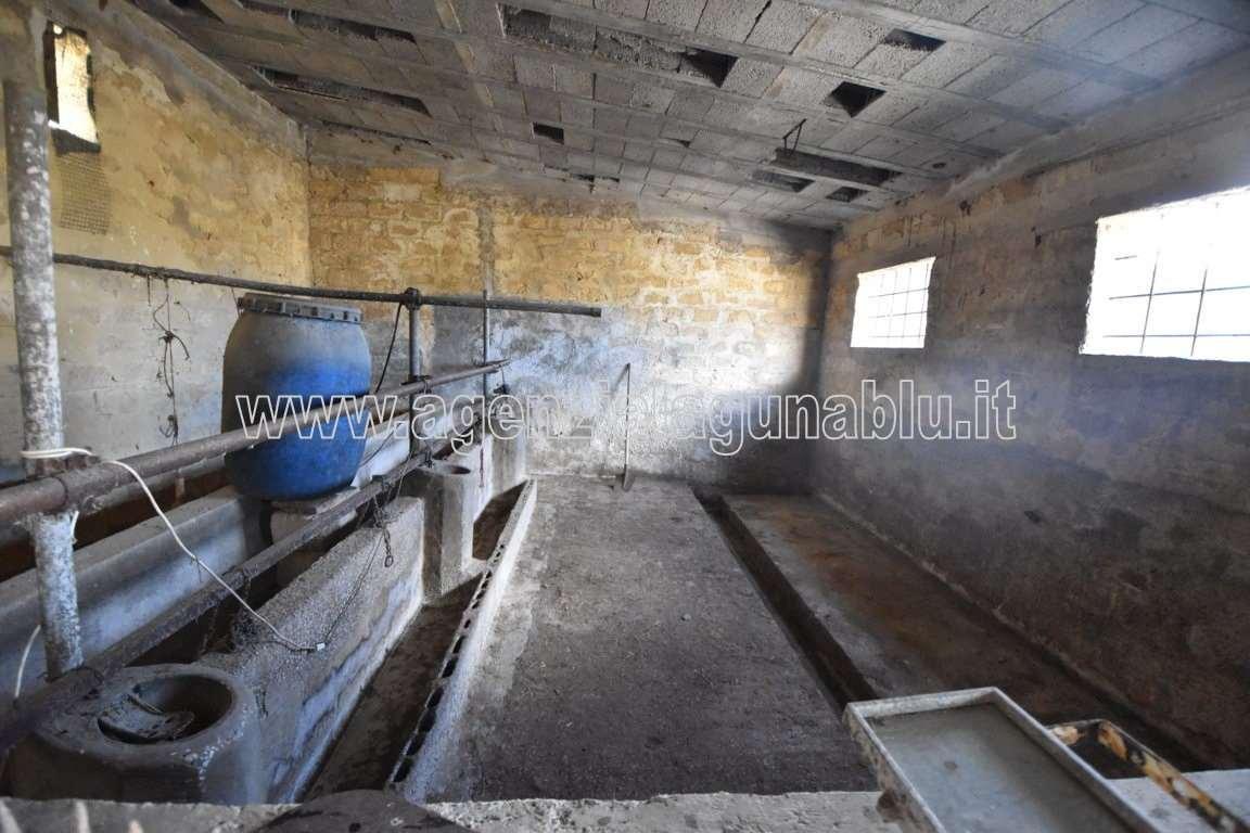 immagine annuncio 6 di 14
