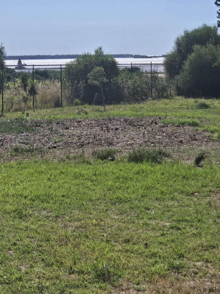 immagine annuncio 3 di 6