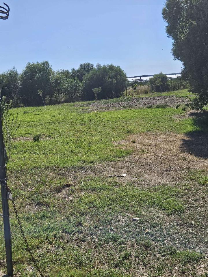 immagine annuncio 4 di 6