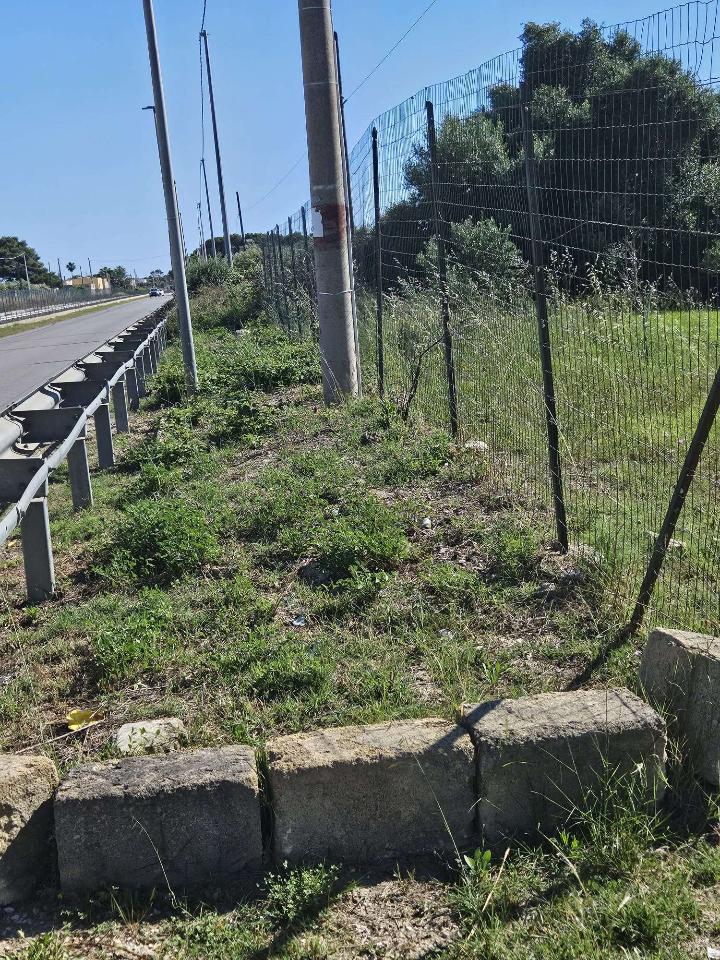 immagine annuncio 1 di 6