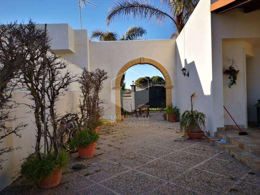 immagine annuncio 2 di 13