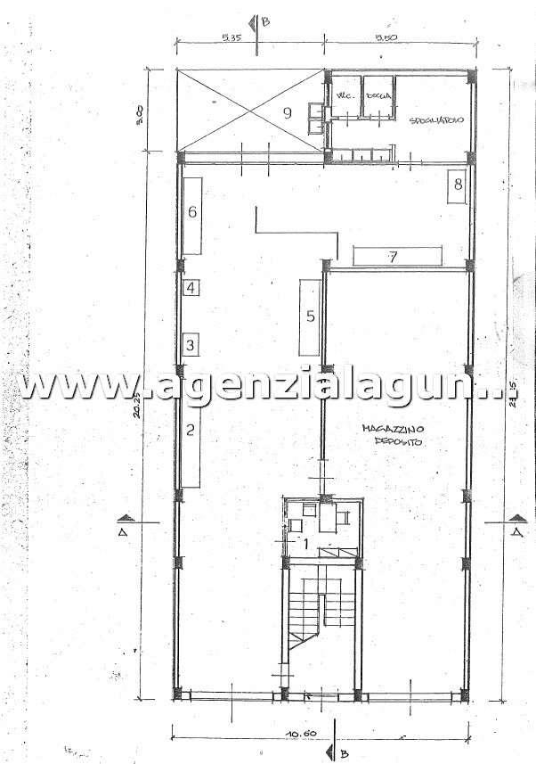 immagine annuncio 12 di 13