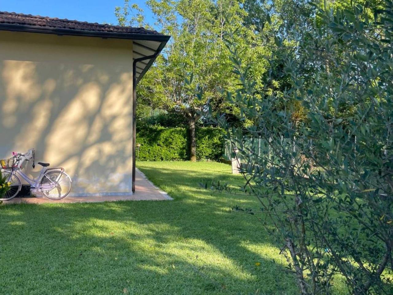 immagine annuncio 2 di 12