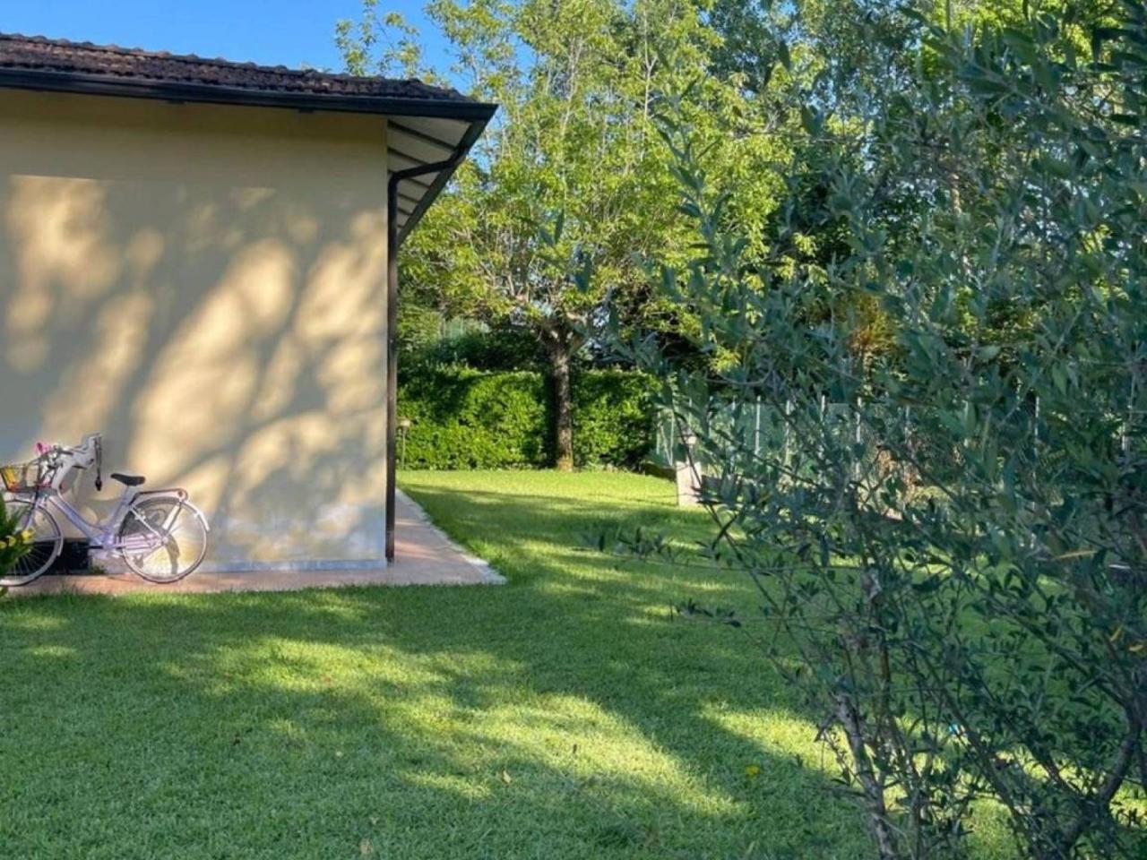 immagine annuncio 5 di 12