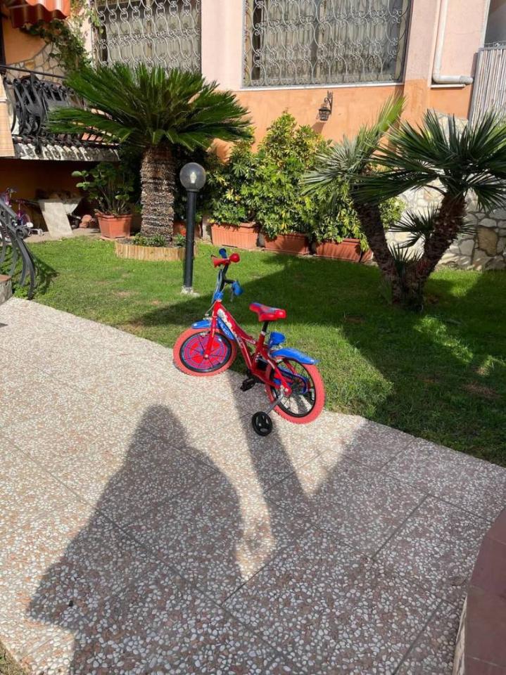 immagine annuncio 3 di 15