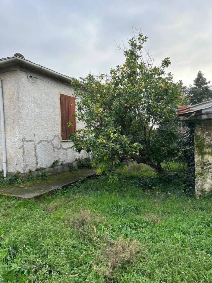 immagine annuncio 3 di 6