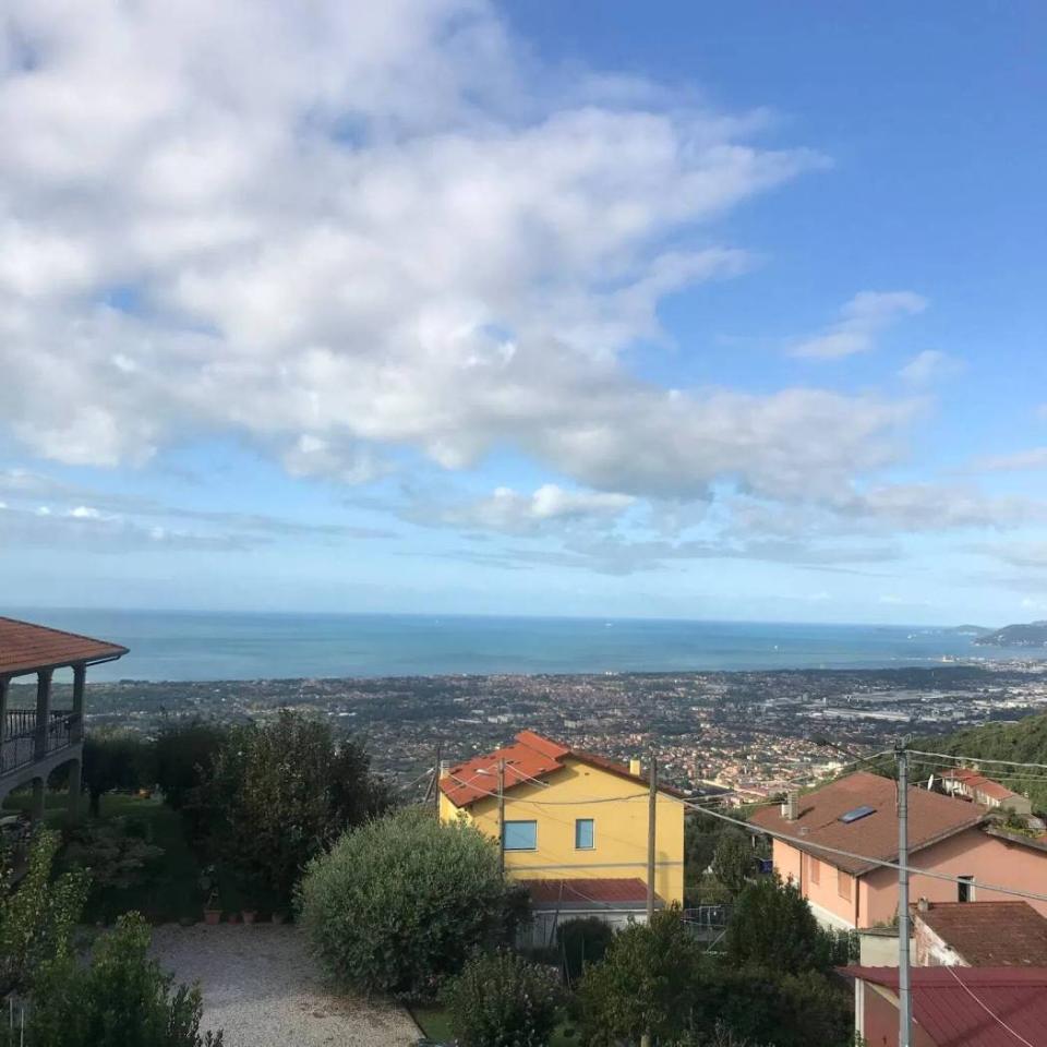 immagine annuncio 9 di 14