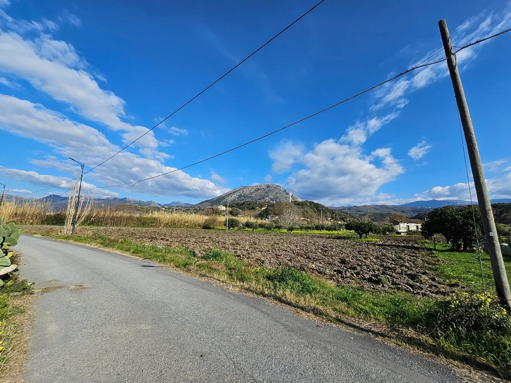 immagine annuncio 4 di 8