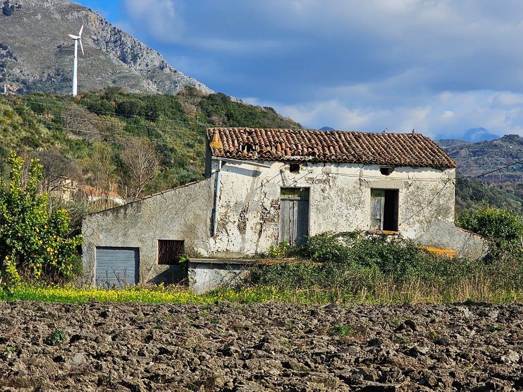 immagine annuncio 6 di 8