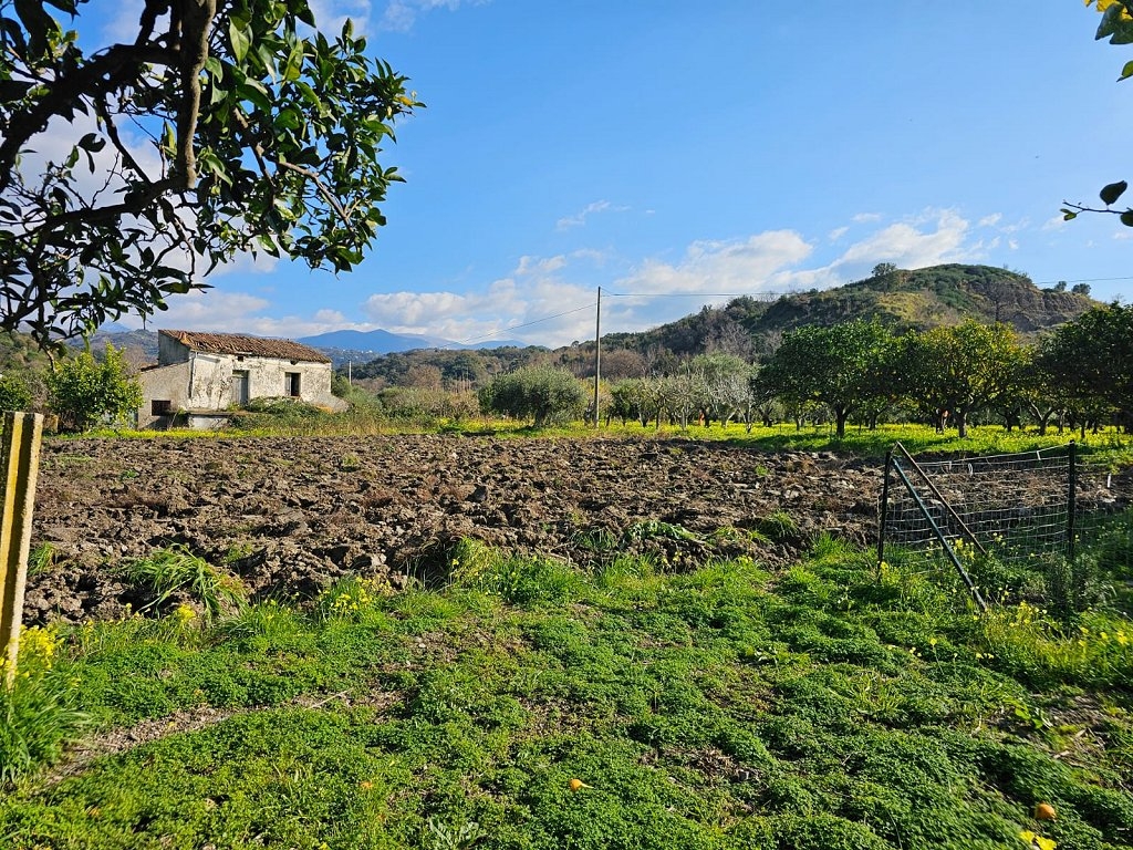 immagine annuncio 3 di 8