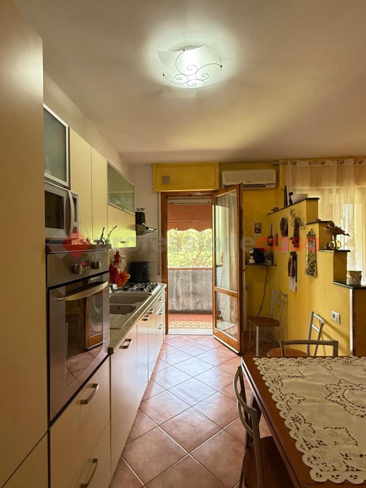 immagine annuncio 4 di 12