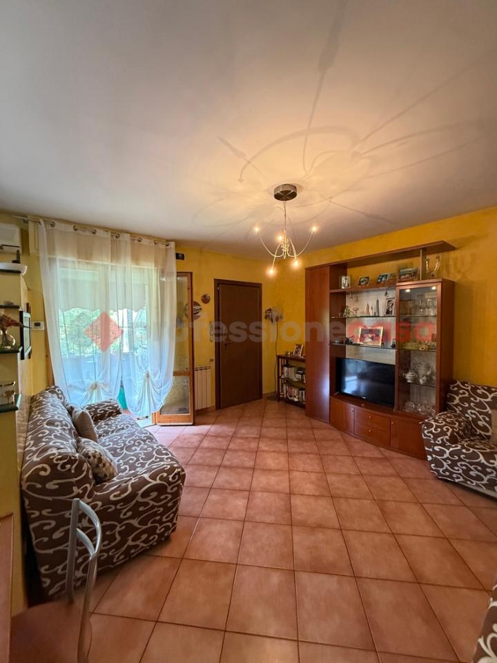 immagine annuncio 3 di 12