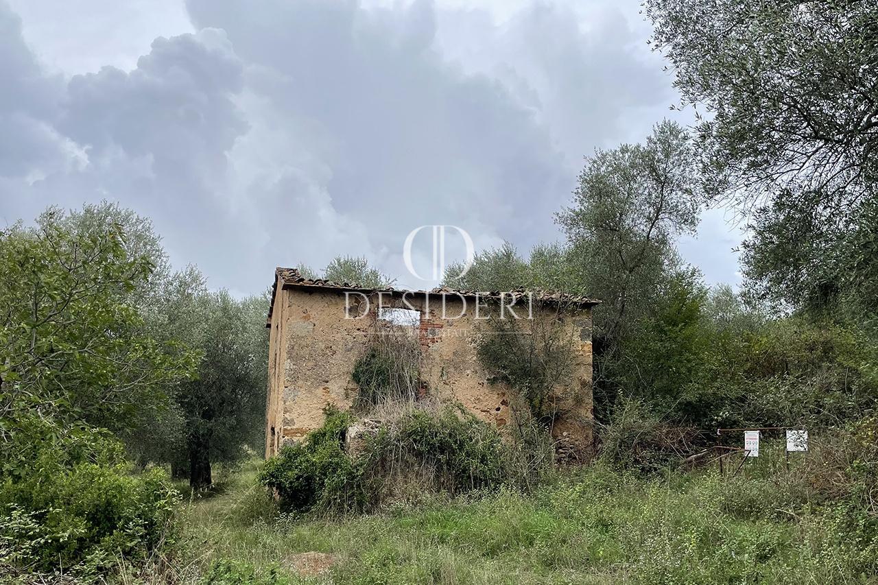 Azienda agricola in Via Vecchia, Roccastrada - Foto 1