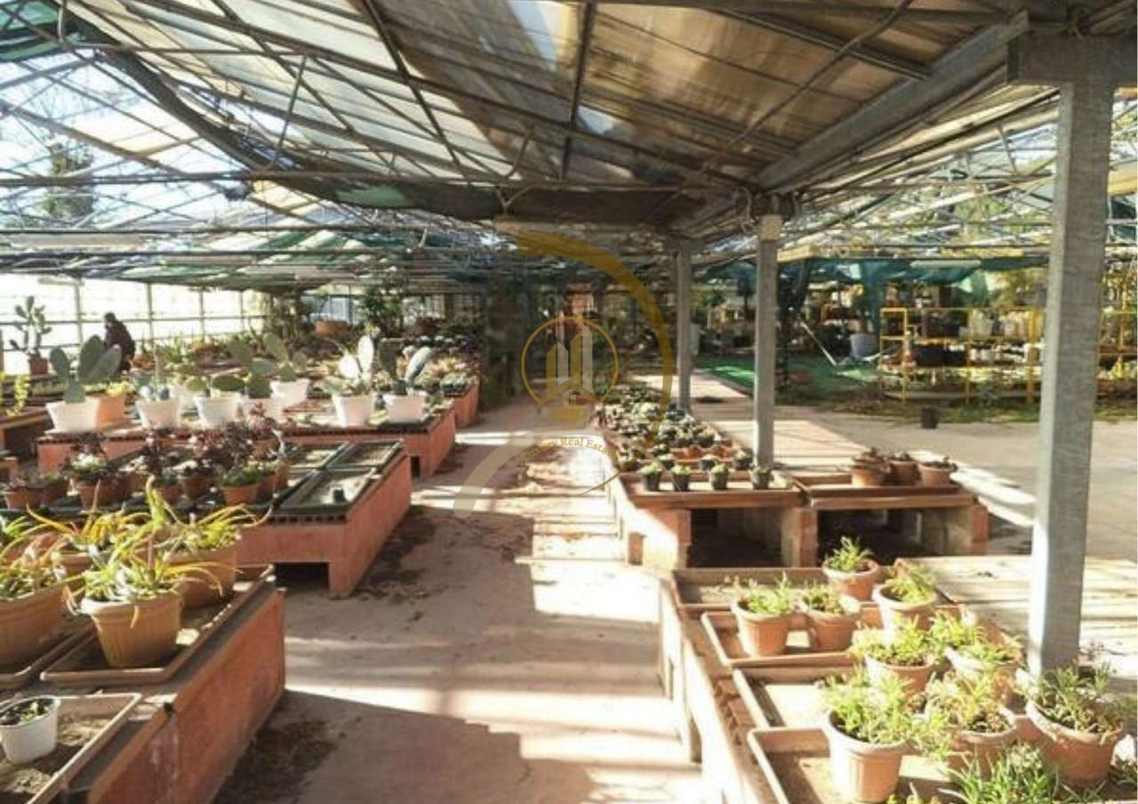Magazzino in Via Bitritto , Bari, {3} - Foto 1