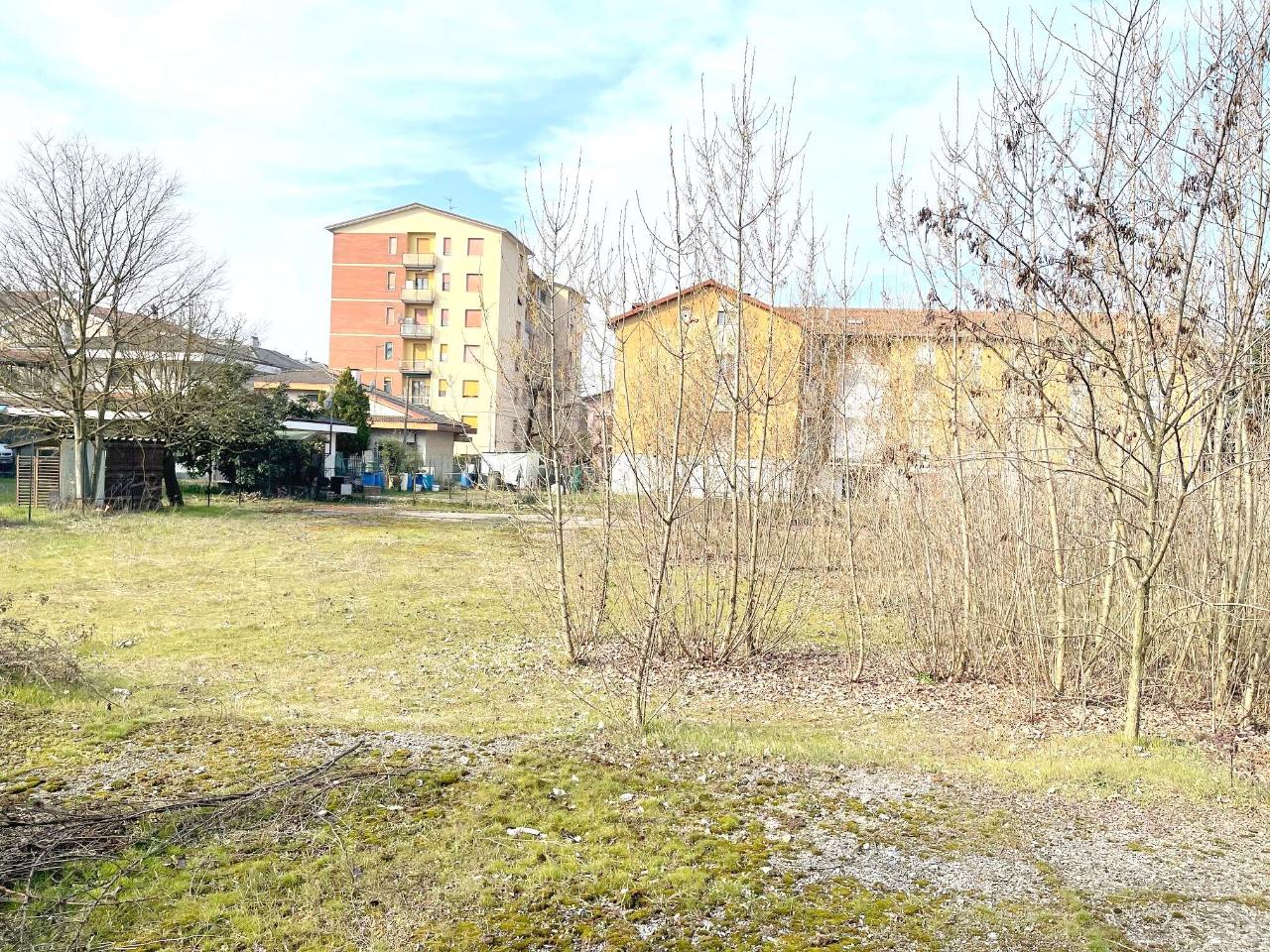 immagine annuncio 2 di 3