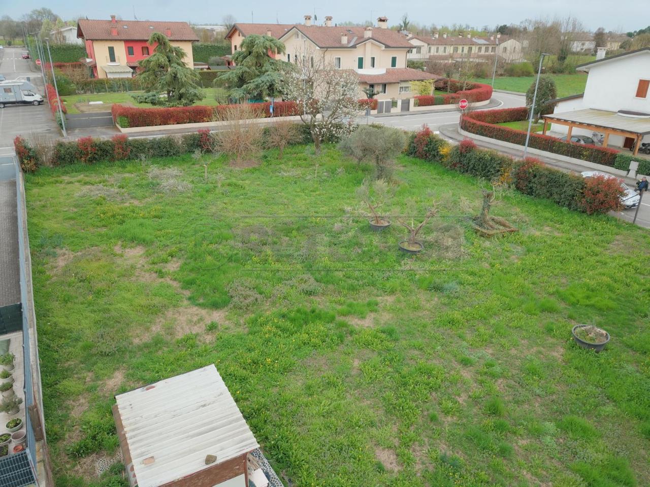 immagine annuncio 4 di 7