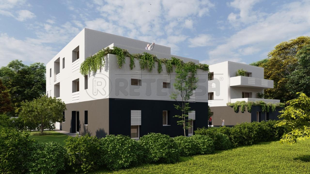 immagine annuncio 2 di 12