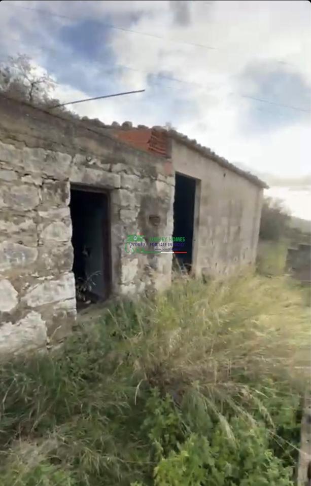 immagine annuncio 5 di 11