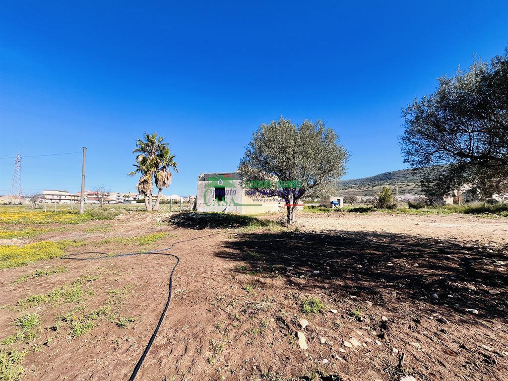 immagine annuncio 2 di 3