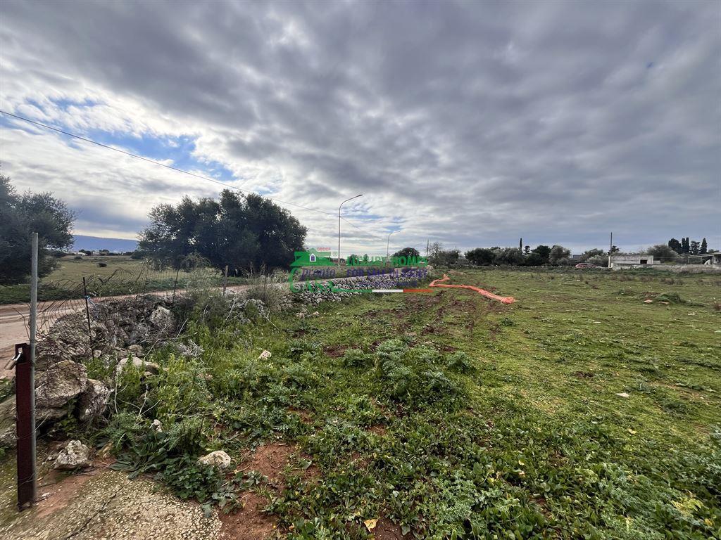 immagine annuncio 3 di 8