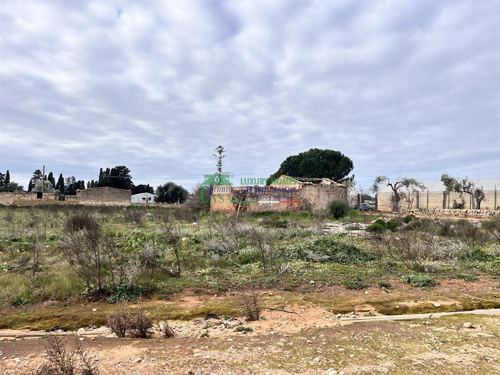 immagine annuncio 5 di 8