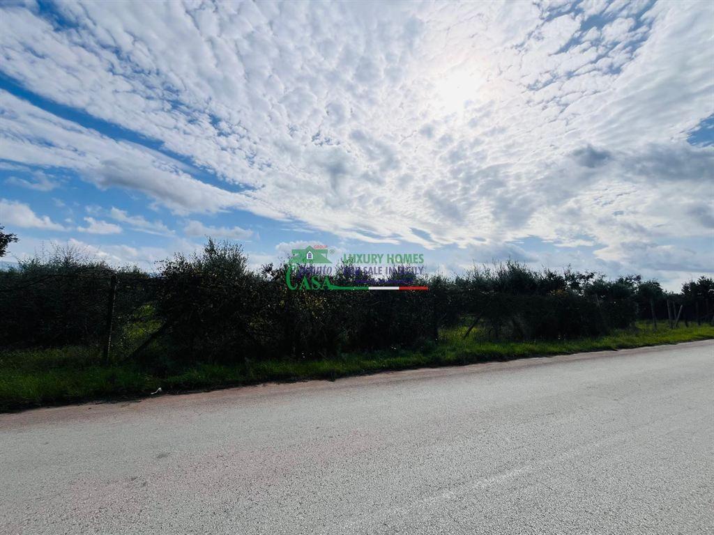 immagine annuncio 1 di 3