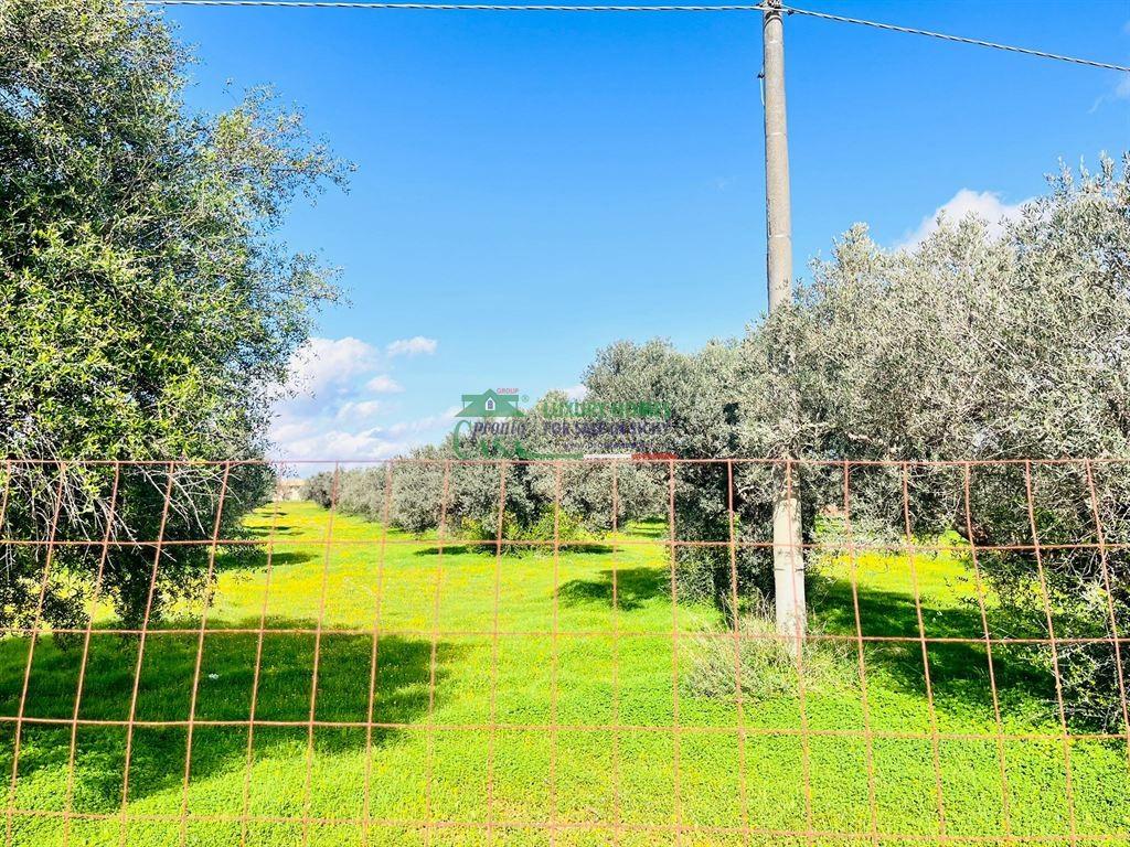 immagine annuncio 4 di 6