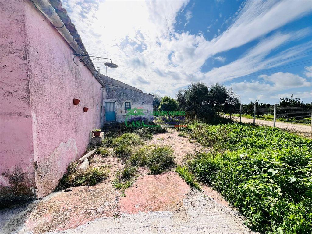 immagine annuncio 6 di 14