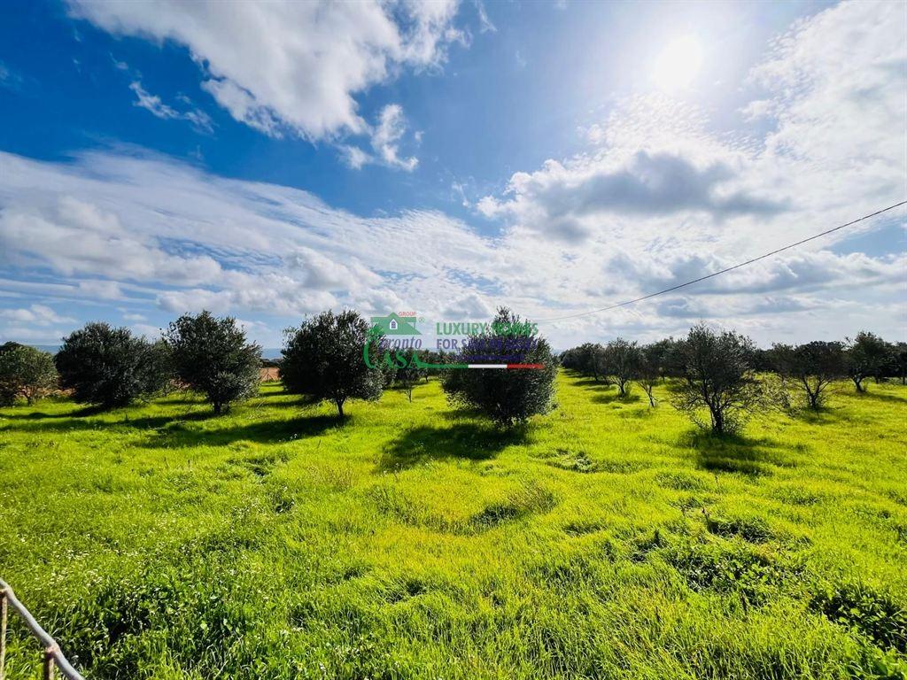 immagine annuncio 10 di 14