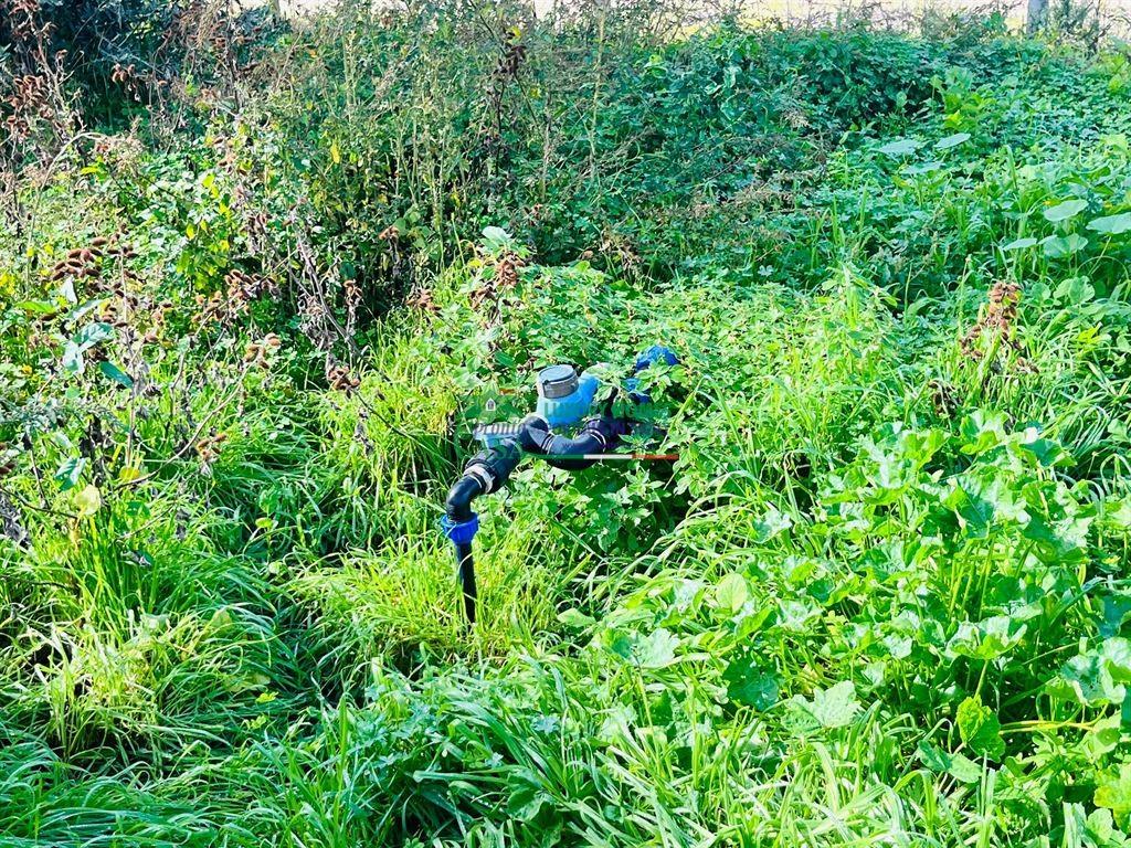 immagine annuncio 13 di 14