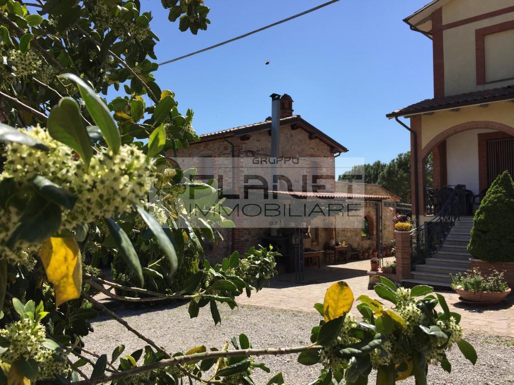 Azienda agricola in Localita' Petriolo, Torrita di Siena - Foto 1