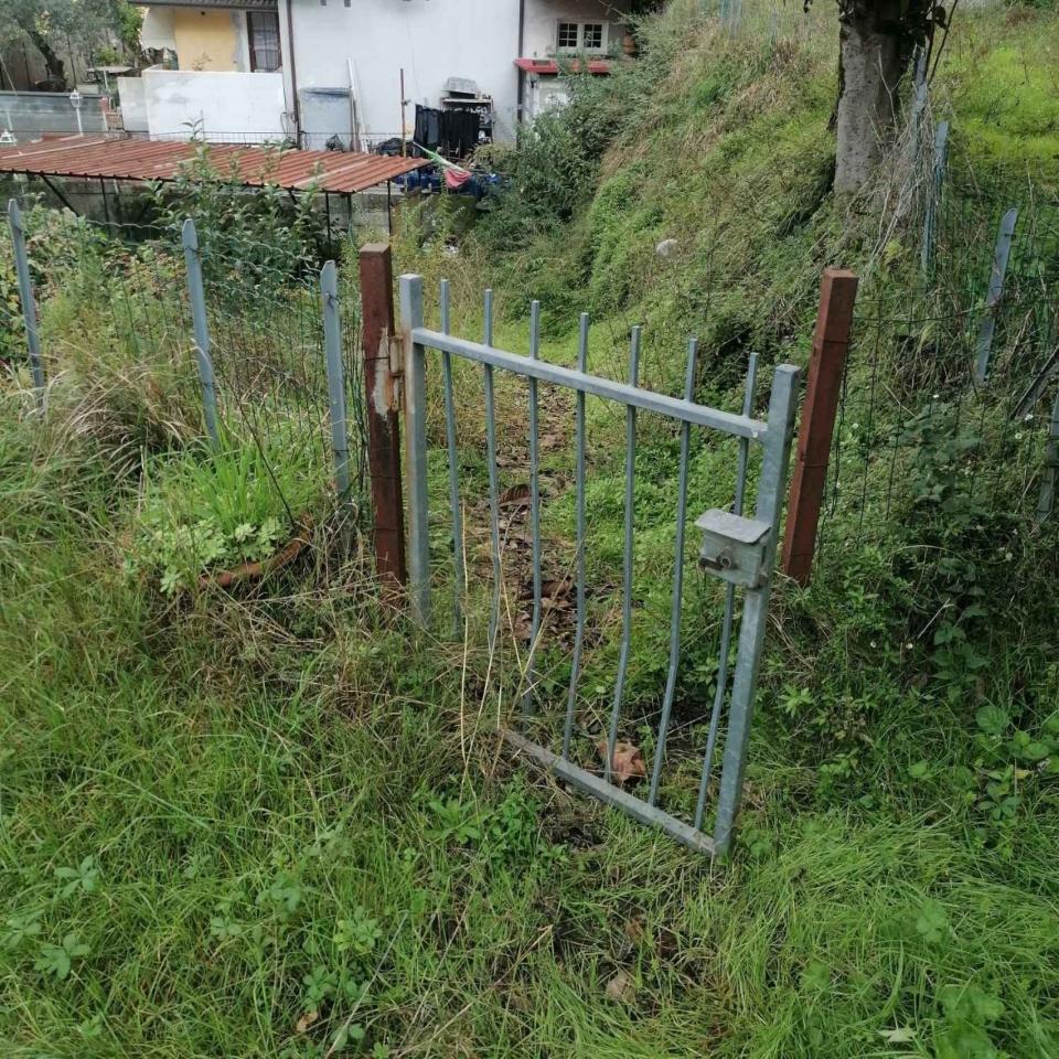 immagine annuncio 2 di 14