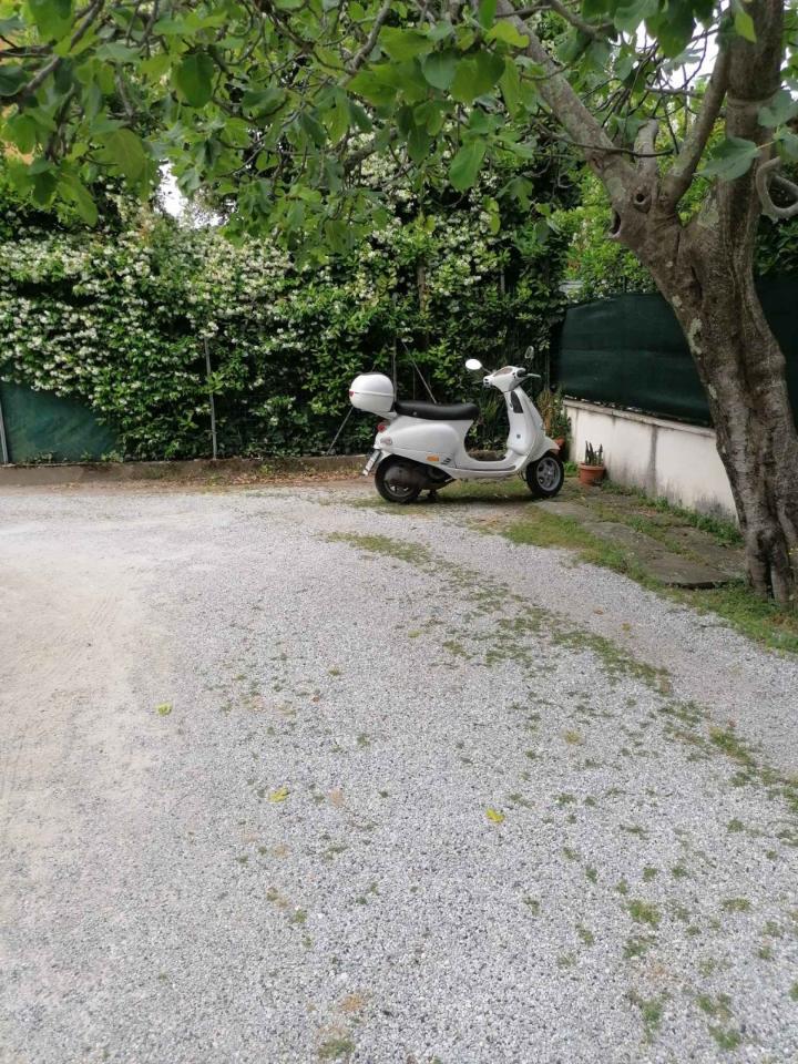 immagine annuncio 4 di 11