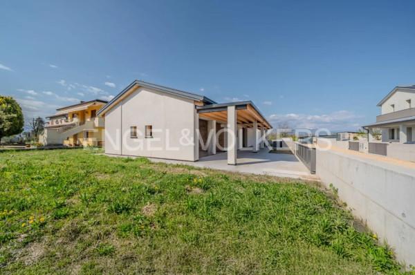 immagine annuncio 12 di 14