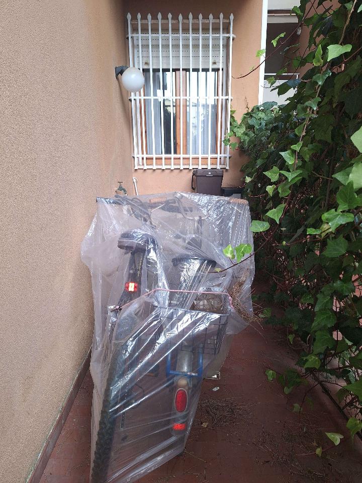 immagine annuncio 10 di 12