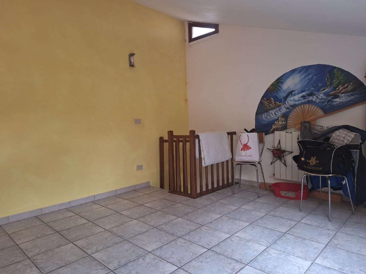 immagine annuncio 7 di 14