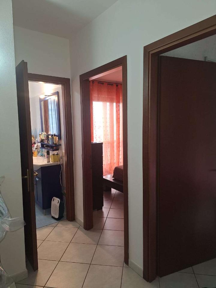 immagine annuncio 9 di 14