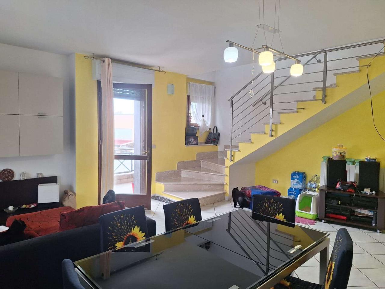 immagine annuncio 2 di 14