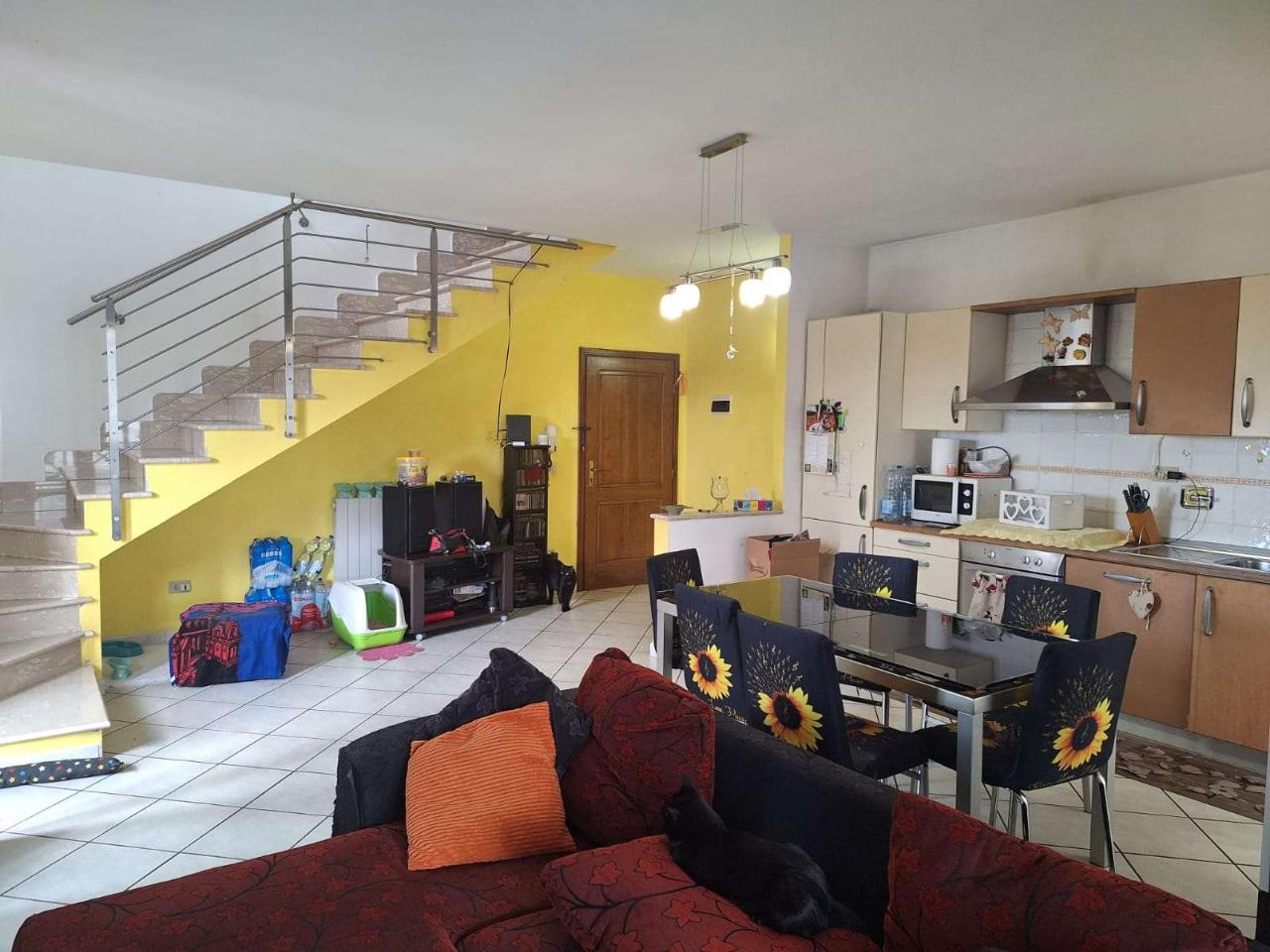 immagine annuncio 1 di 14