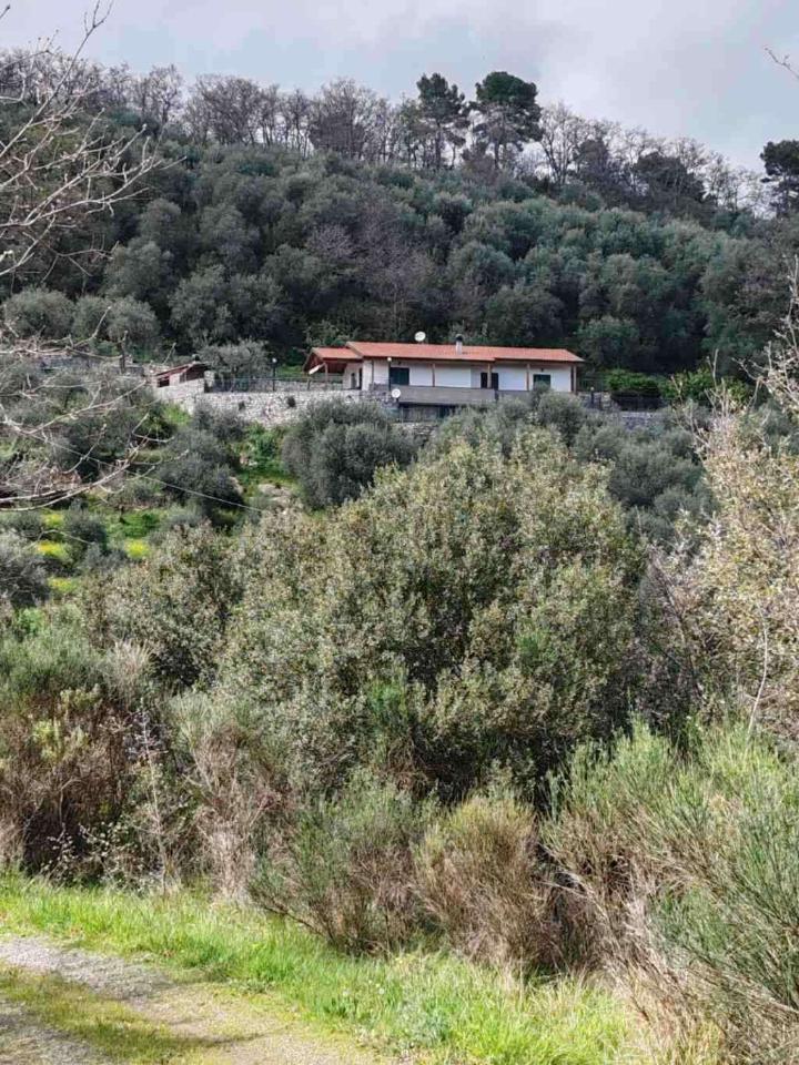 Villa unifamiliare in vendita a Diano Arentino