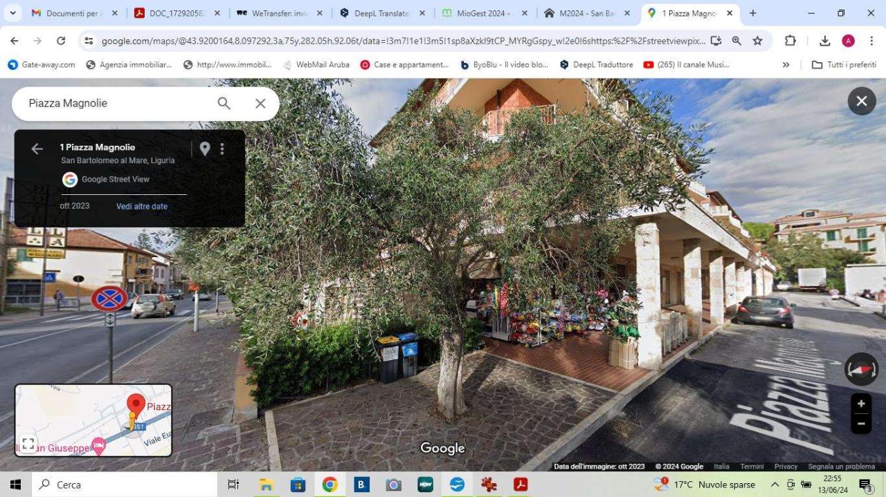 Negozio in Piazza Magnolie 1, San Bartolomeo Al Mare, {3} - Foto 1
