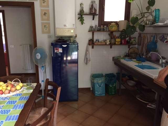 immagine annuncio 1 di 6